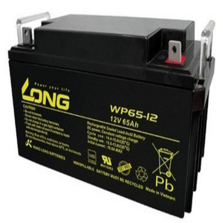 LONG广隆蓄电池WP100-12 12V100AH铅酸免维护应急蓄电池现货