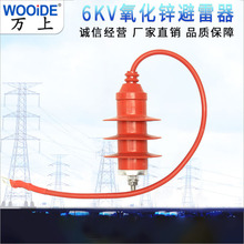 HY5WZ HY5WS-10/30 ������ �������������\������6KV