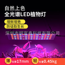 ¿75LEDֲ 羳ѷֲﲹȫֲ