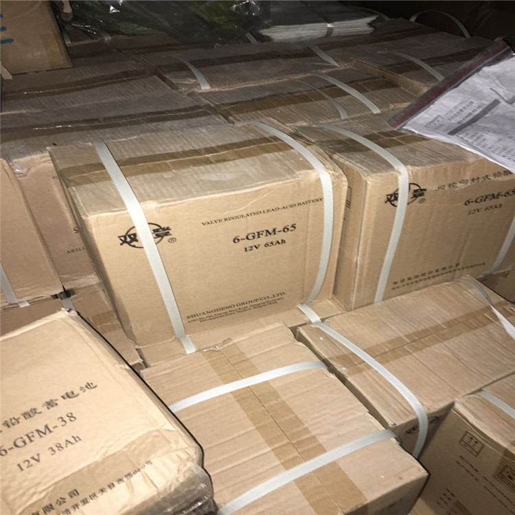 阀控式免维护双登蓄电池6-GFM-200 12V200Ah 厂家 质保三年