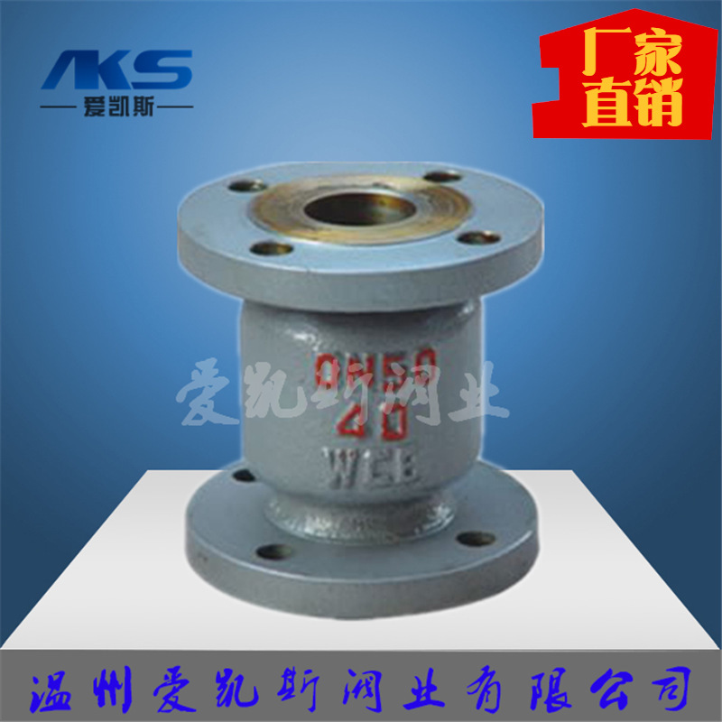 爱凯斯阀业-立式止回阀不锈钢铸钢304/316H42H-10/16/25/40/64