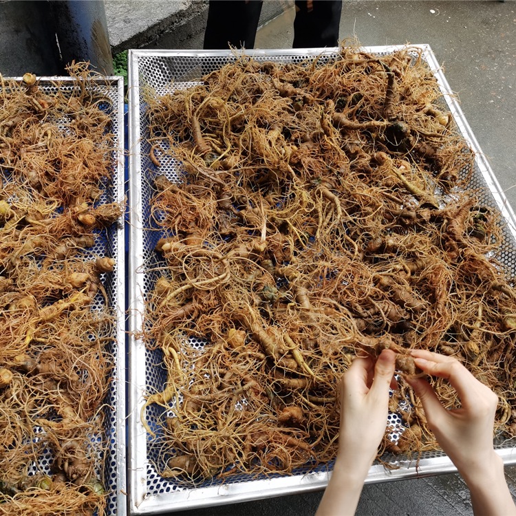 ����ŵ�ȱ����ߺ�ɻ� �ѻ�ʽ���߸����豸 ���߿������ȱú�ɻ�