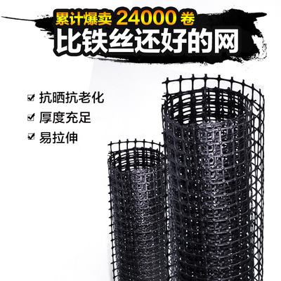 廠家直銷抗紫外線加厚養殖塑料網養雞養鴨果園隔離種植圍欄防護網