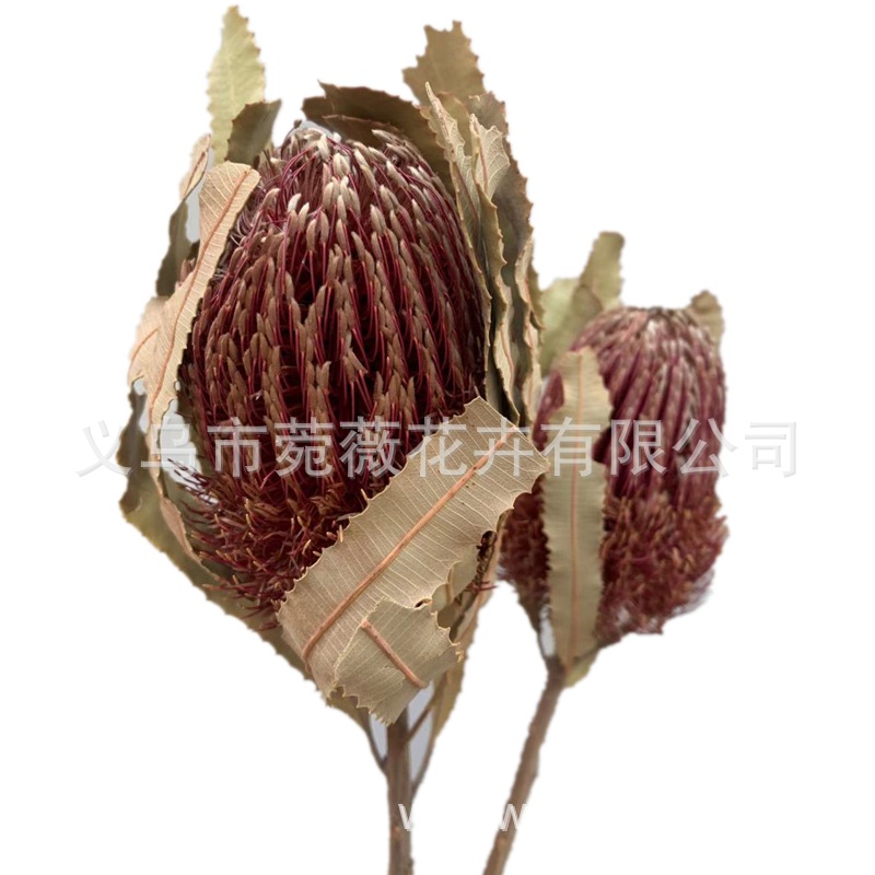 微信图片_20201212223641