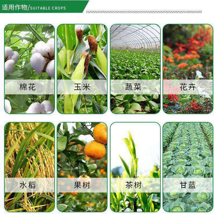 微信图片_202003060958041