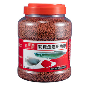 Производитель jiulongxing Оптовая декоративная рыба Универсальная рыба и зерно