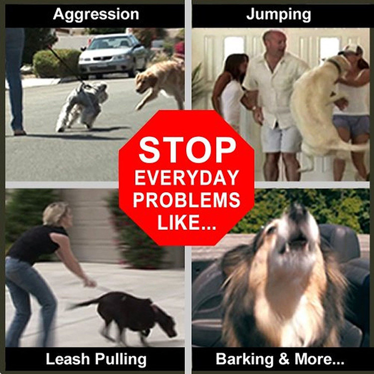 微信图片_20200506204756_副本