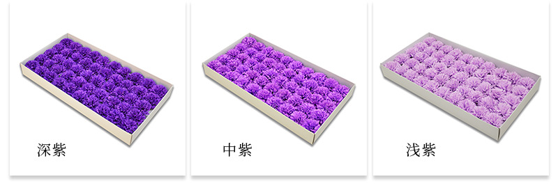 AL康乃馨详情_06