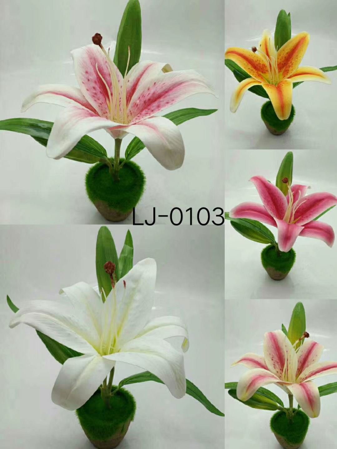 WeChat 圖片_20200704104518