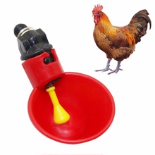 加厚鴿子飲水器自動飲水 飲水碗 水杯 鳥用水槽鴿子用品出口品質