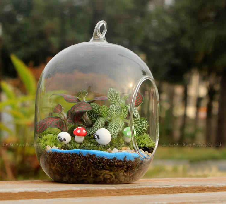 Musgo micro paisaje florero de cristal creativo mini planta DIY olla decoración de la Oficina planta suculenta florero