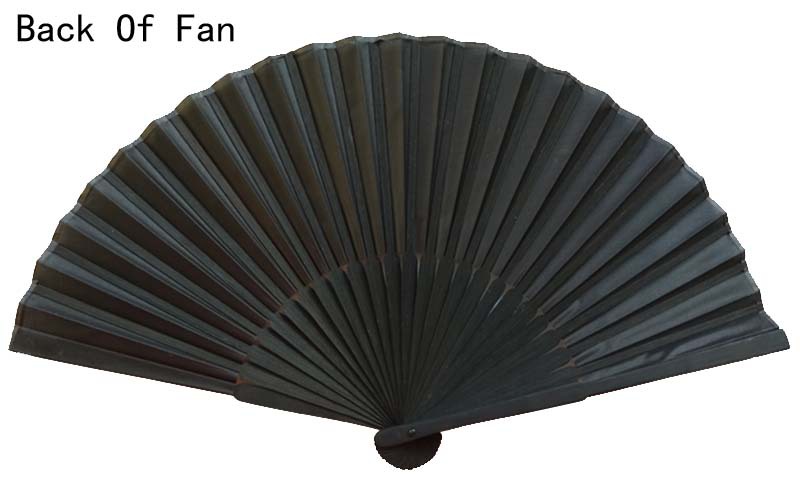 back of fan