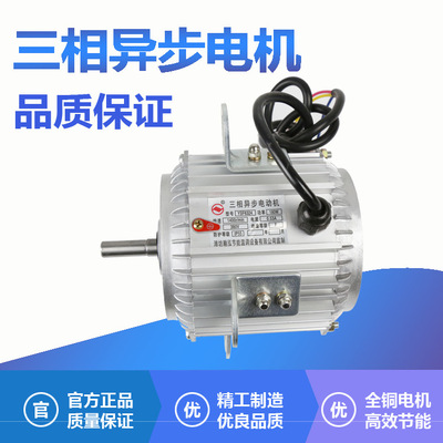 三相异步电动机暖风机电动机机电强压风机振动小噪音低微型电机