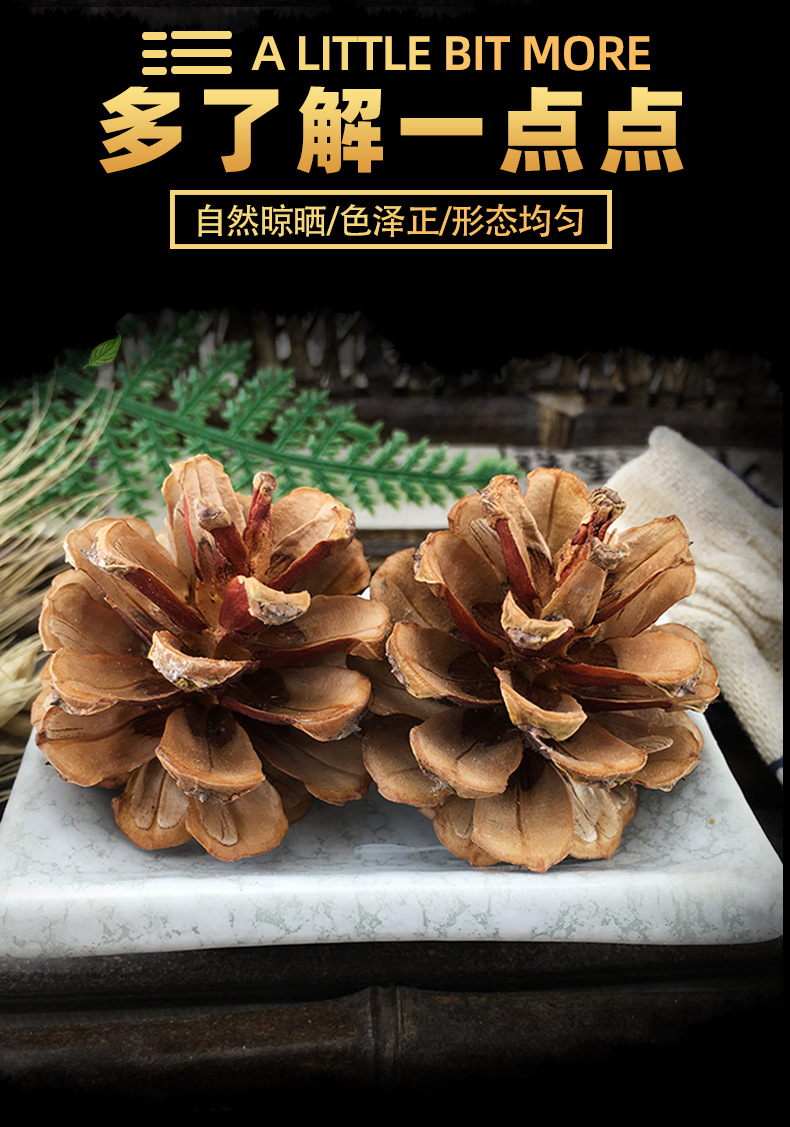 Dried Pine Cones Song Ta Loose Natural Cones 500g Sun Dried Decorative Craft and Herbal Use key features