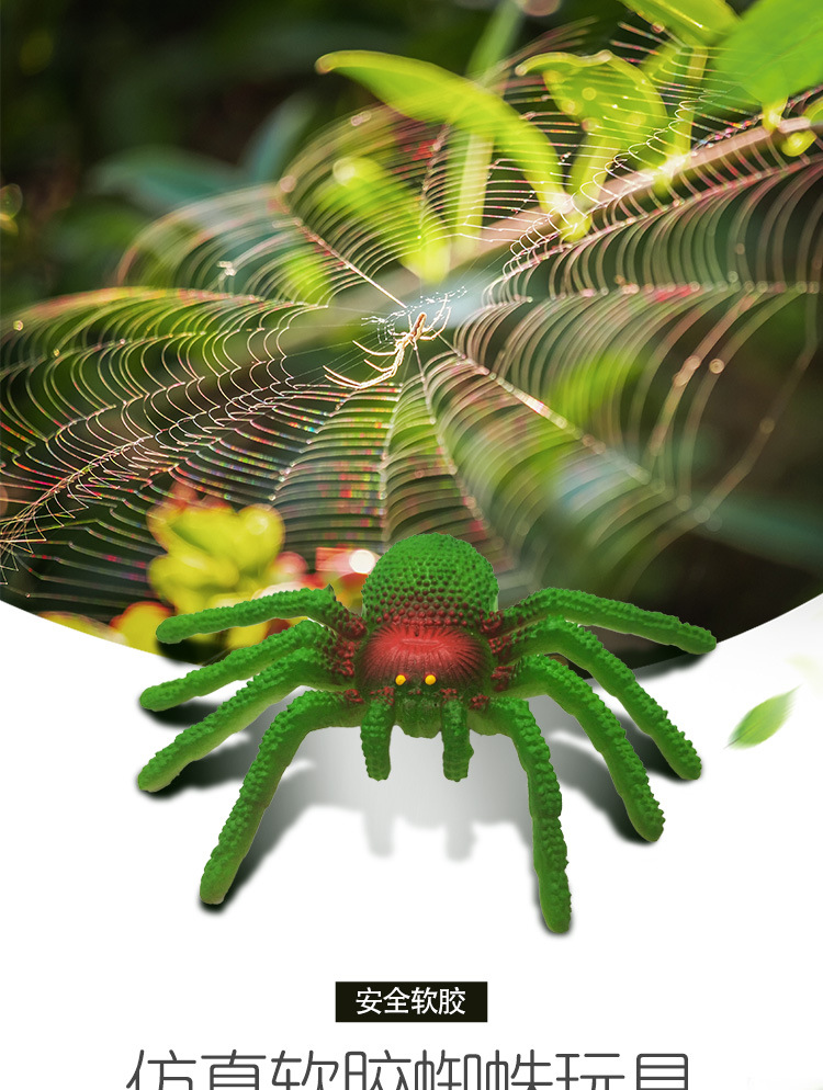蜘蛛详情页上传_01.jpg