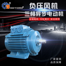 ѹ첽綯0.37-1.1KW380Vͭ