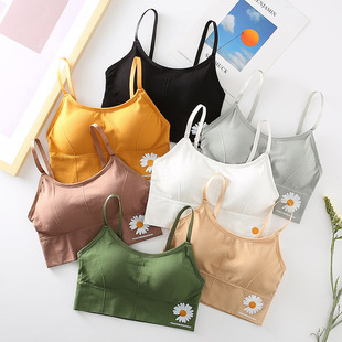 С�r��2.0��Ů��������һ�wʽĨ�ؾ۔n����o�Ȧ�\�Ӄ��¹��؉|