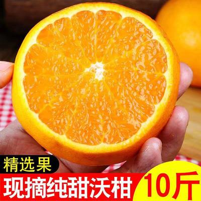 云南SK-2沃柑新鲜当季水果整箱10斤现摘橘子桔子贵妃柑橘沃柑橘|ru