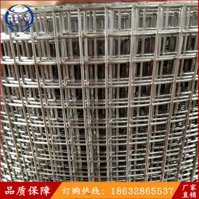不锈钢防护网 304焊接网片 不锈钢电焊网 钢丝网片焊接网厂家直销