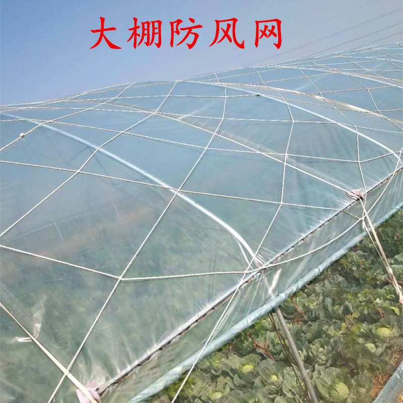 种植养殖大棚防风网 尼龙网大孔压膜绳网挡风网 塑料大棚防护网