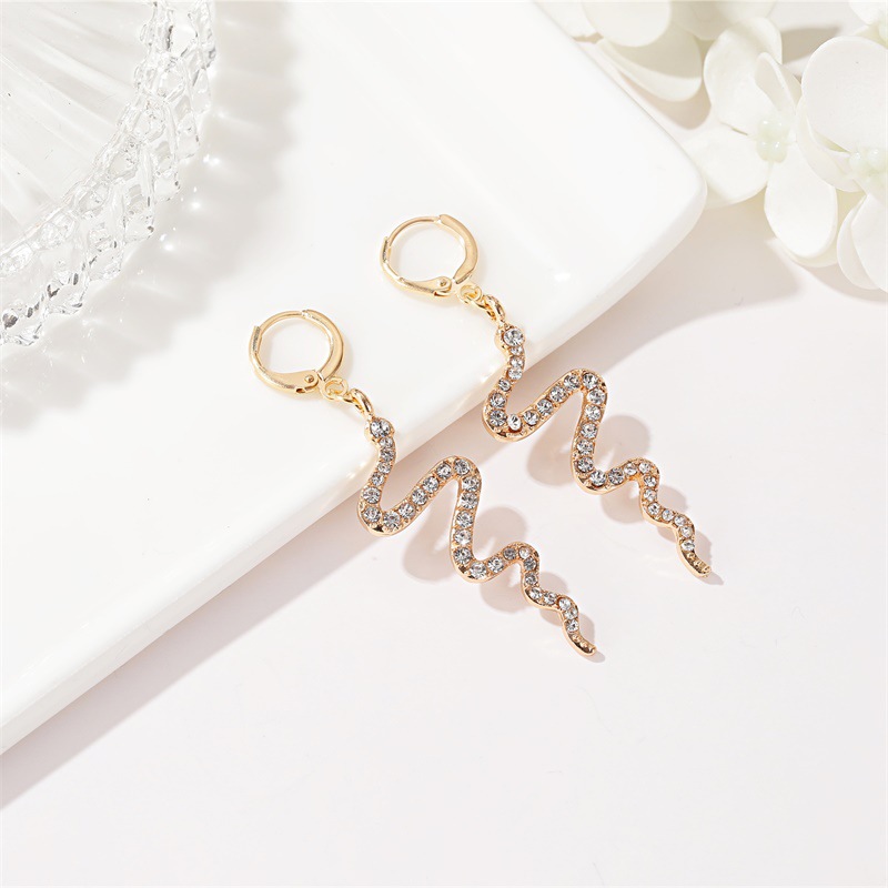 New Fashion Creative Snake-shaped Earrings Long Diamond Earrings Simple Wave Earrings Wholesale display picture 4