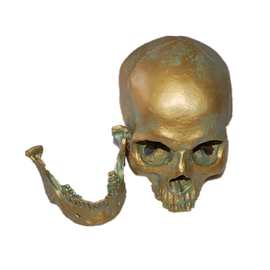 医学头骨模型树脂骷髅万圣节道具骷颅头居家摆件仿古铜动物头骨
