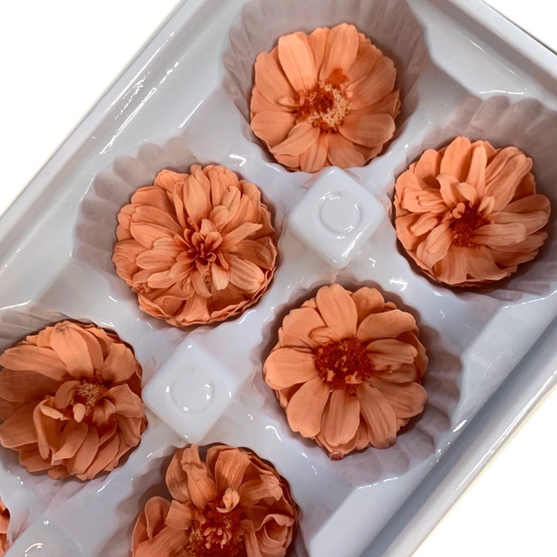 微信图片_20200430155920