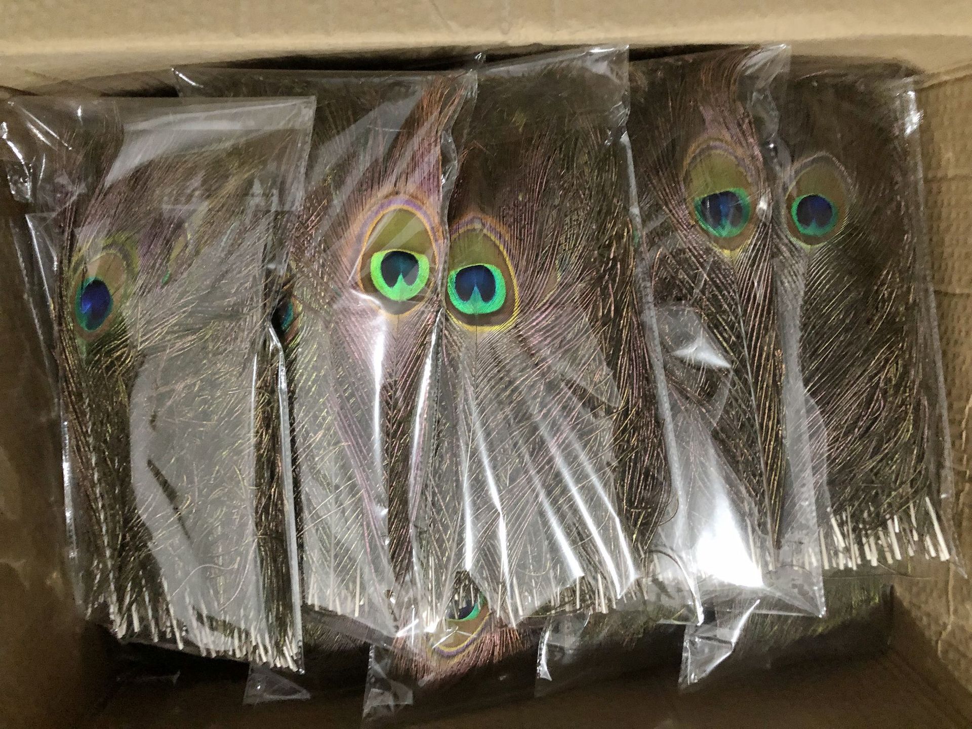 a9568f795c20f58af52718e1e61826