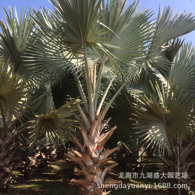 IMG_5480(20200224-233335)