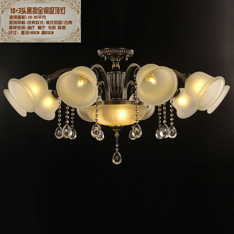 10+3 head black rubbing gold ceiling lamp
