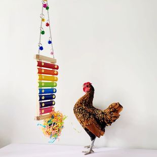 �^�� �羳������uС�uĸ�u���u���ݿ�ҧ�ٴ����ľ���Ó����