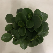 �����������l���~���񶹰�G������佷���^�~ֲ���҃ȱڠ��G