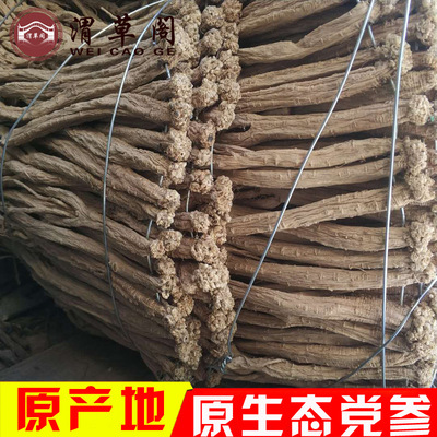 批發原色黨參條甘肅原産地直銷大中小規格散裝新貨黨參500g原味