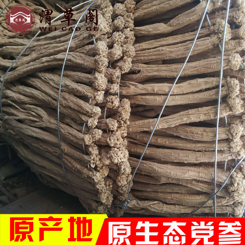 批發原色黨參條甘肅原産地直銷大中小規格散裝新貨黨參500g原味