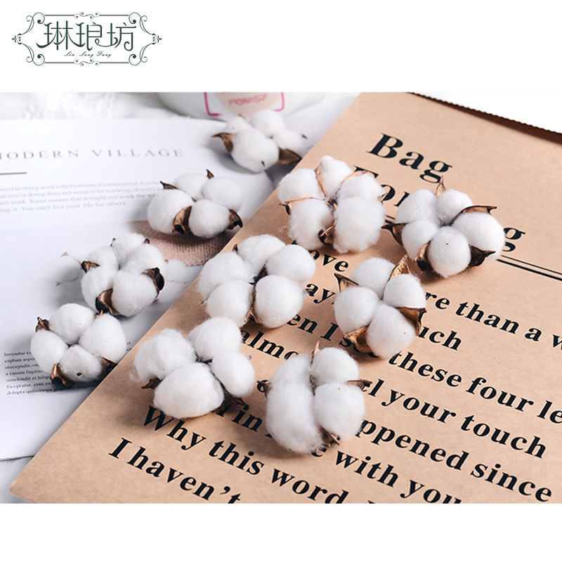 Algodón seco con varillas grandes flores cajas de regalo ramo de flores decoración gran cabeza de algodón blanco Navidad Festival de Primavera Flor eterna