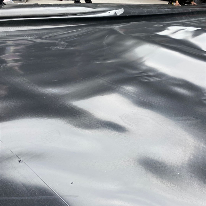 鱼塘荷塘塘底边坡防渗土工膜黑色加厚土工膜屋顶防渗防潮土工膜