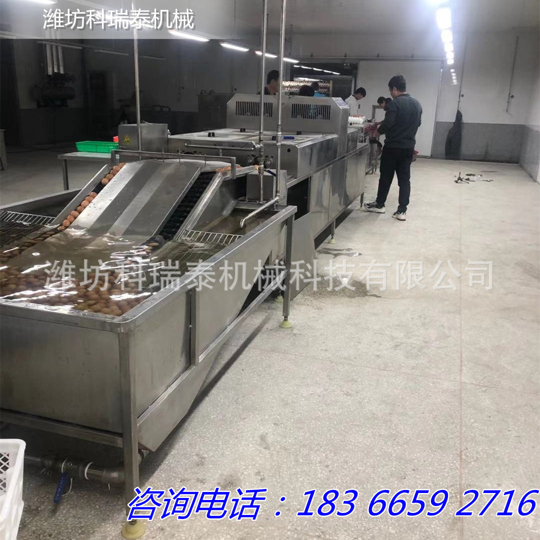 供应多排洗蛋机 商用鸡蛋鸭蛋清洗机 自产自销多规格鸡蛋洗蛋机