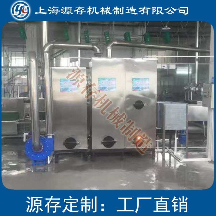 上海源存厂家直销天燃气锅炉 生物质锅炉 来电定做