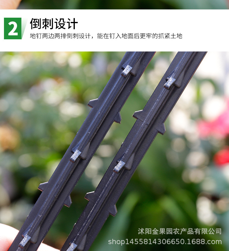 Details_06.jpg