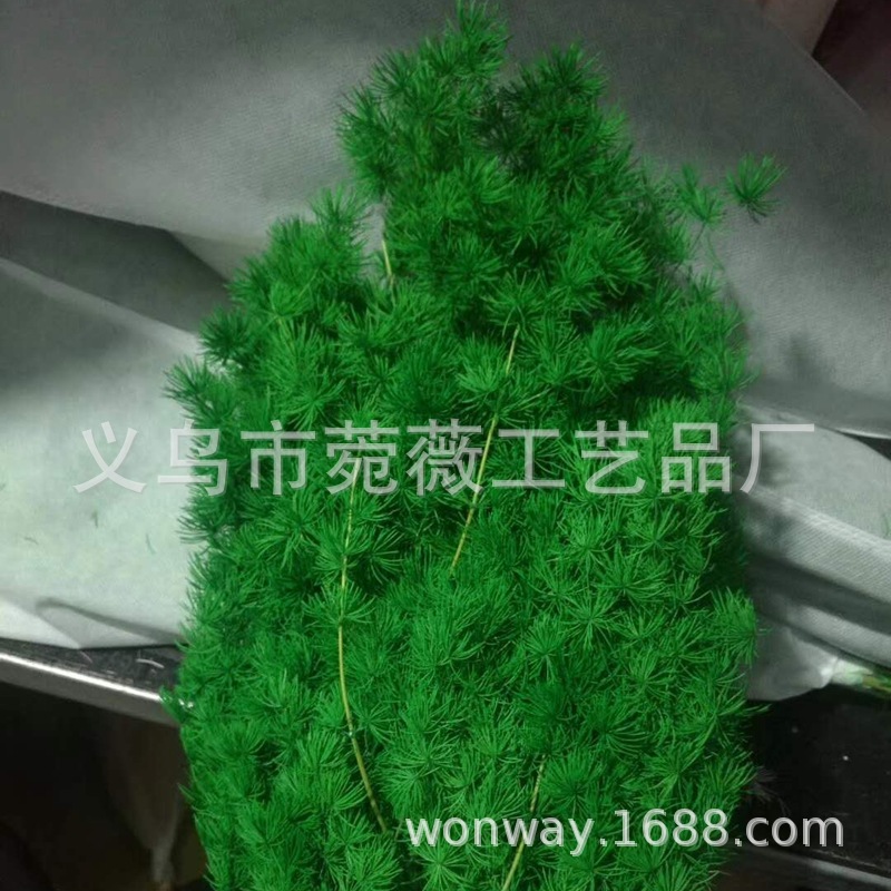 微信图片_20200607225551