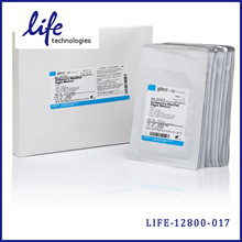 LIFE 12800-017 DMEM, powder, high glucose，10*1L