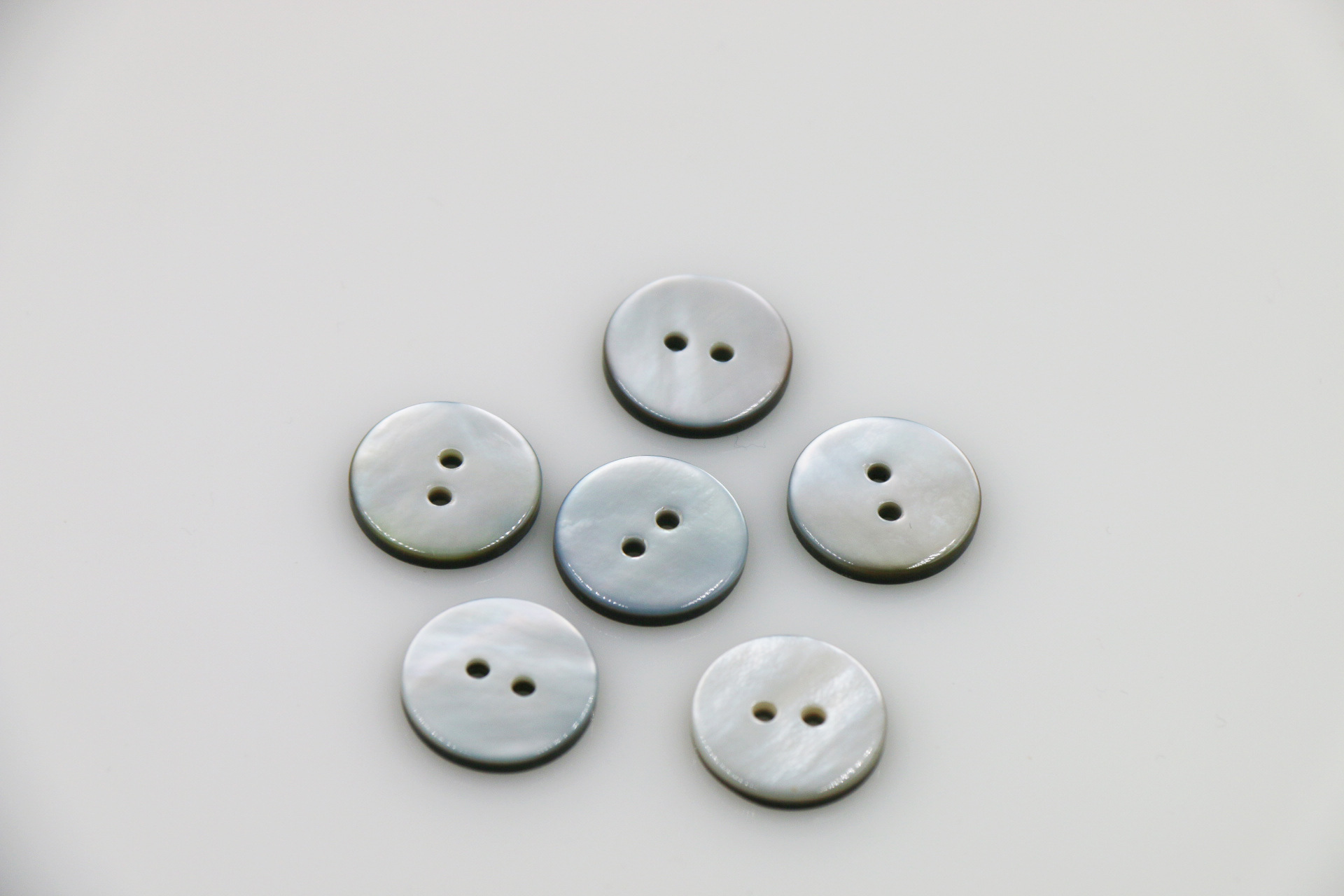 平面两眼黑碟贝 (5).JPG