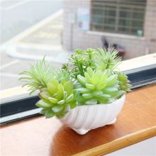 �羳؛Դ����Gֲ����ֲ��ٶ������Ի�DIY�ײ�����M�τ���ֲ