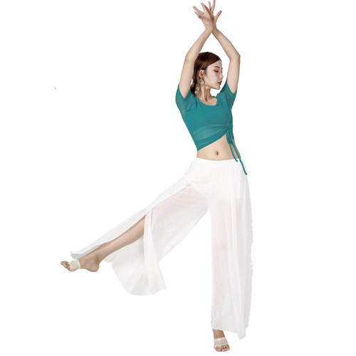 Baoguang Honghua Belly Dance Top New Sexy Mesh Oriental Dance Costume Women's Practice Top Performance Costume Summer
