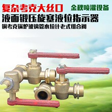 �z��Һ��呉�����Һλָʾ���~����偠t������ˮλӋ��ʽ�M���y