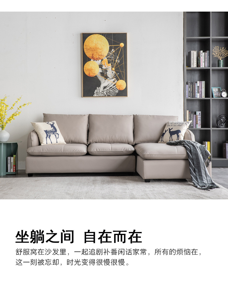 19036皮 (5).jpg