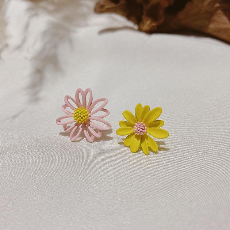 20285010895_1490534638