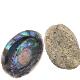 Abalone shell 11-13cm (no peeled raw materials) about 80g