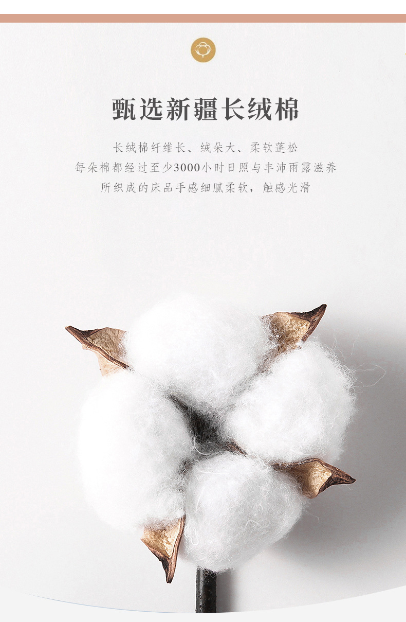 四件套_05.jpg