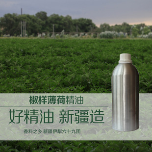 �½����罷�ӱ��ɾ��� �W���������� �η�����ֲ���� �S�����l